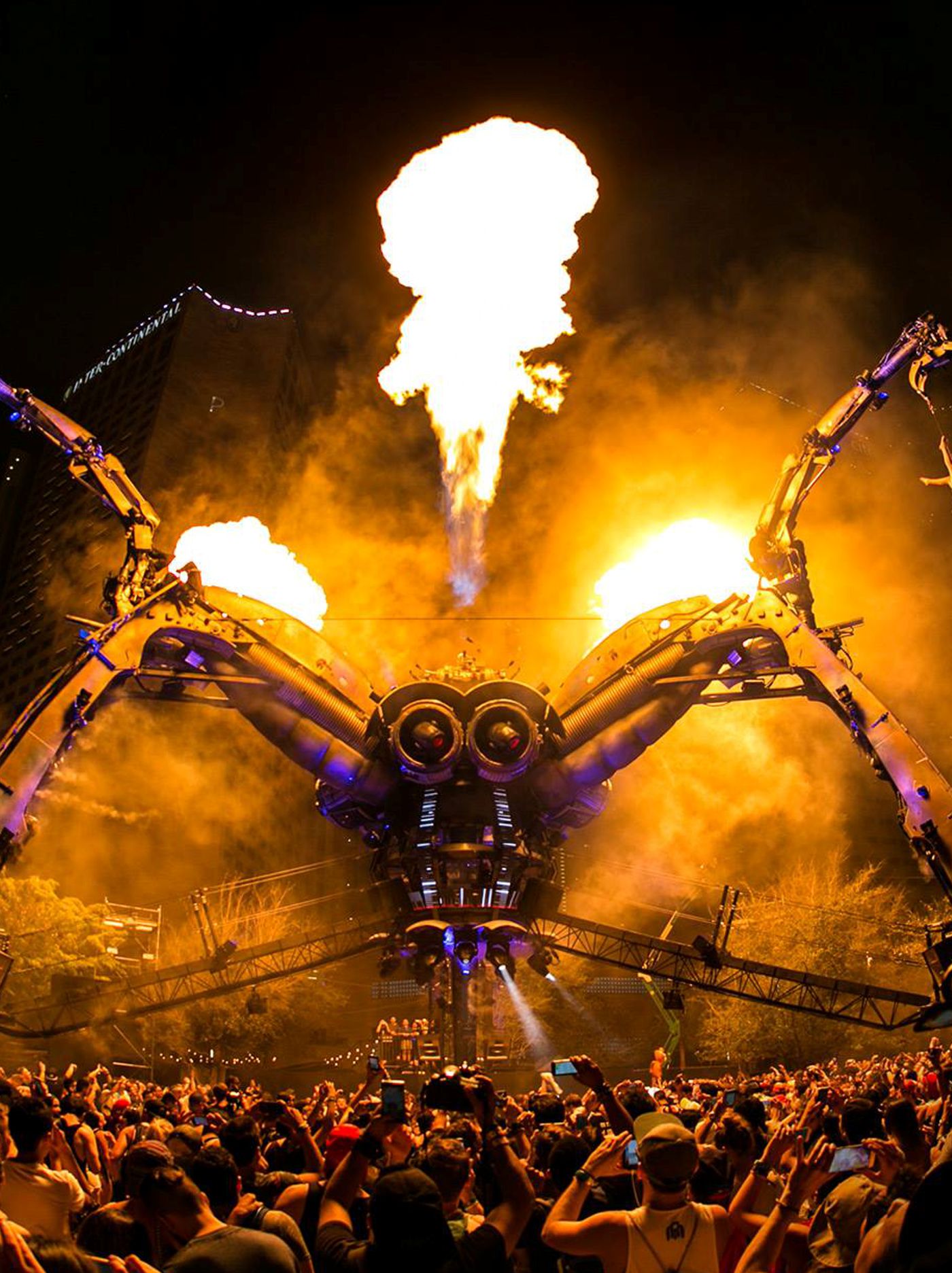 SunsetCast - Music Festivals