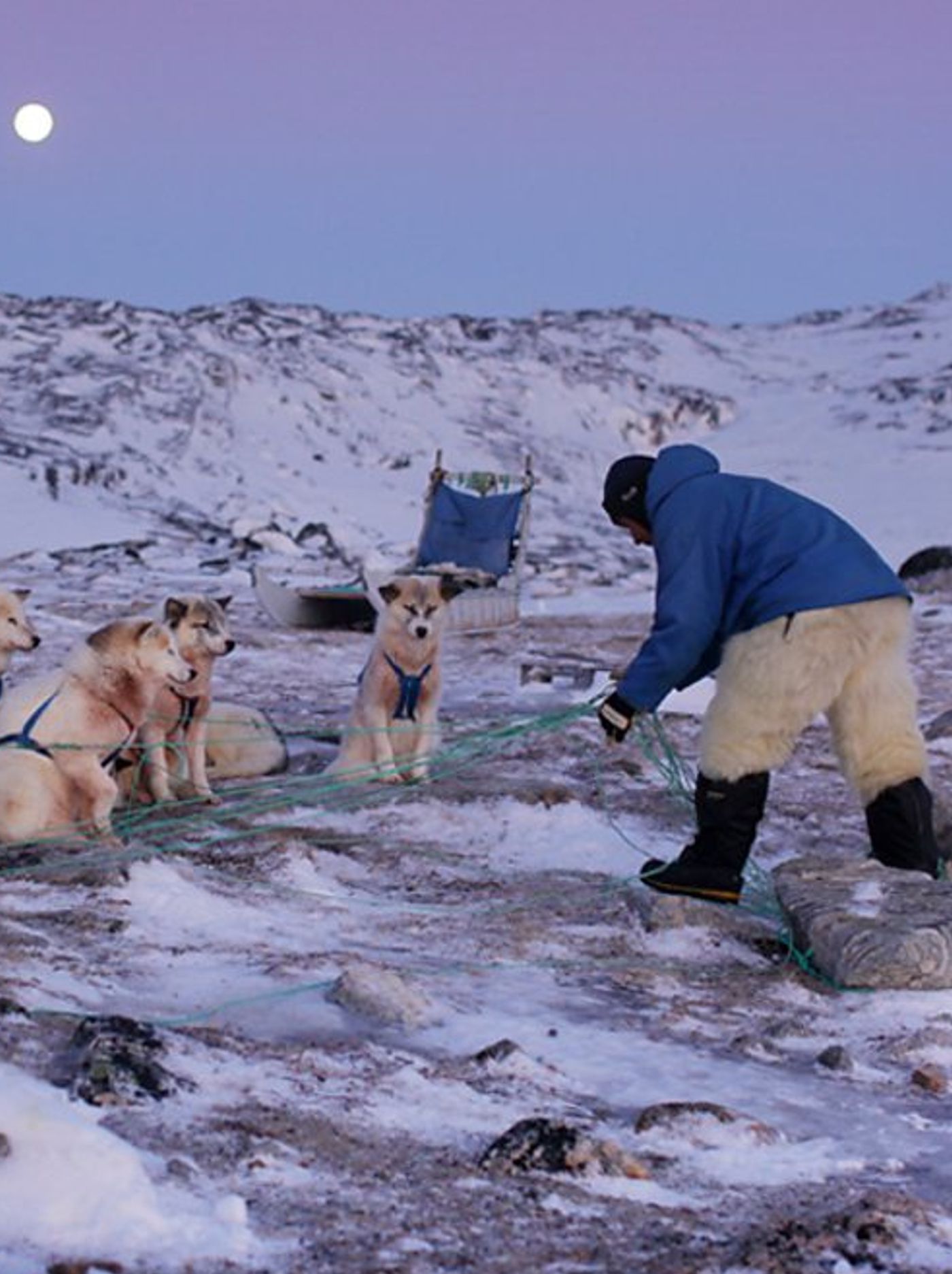 Human Planet 3 Of 8 - Arctic - Life In The Deep Freeze