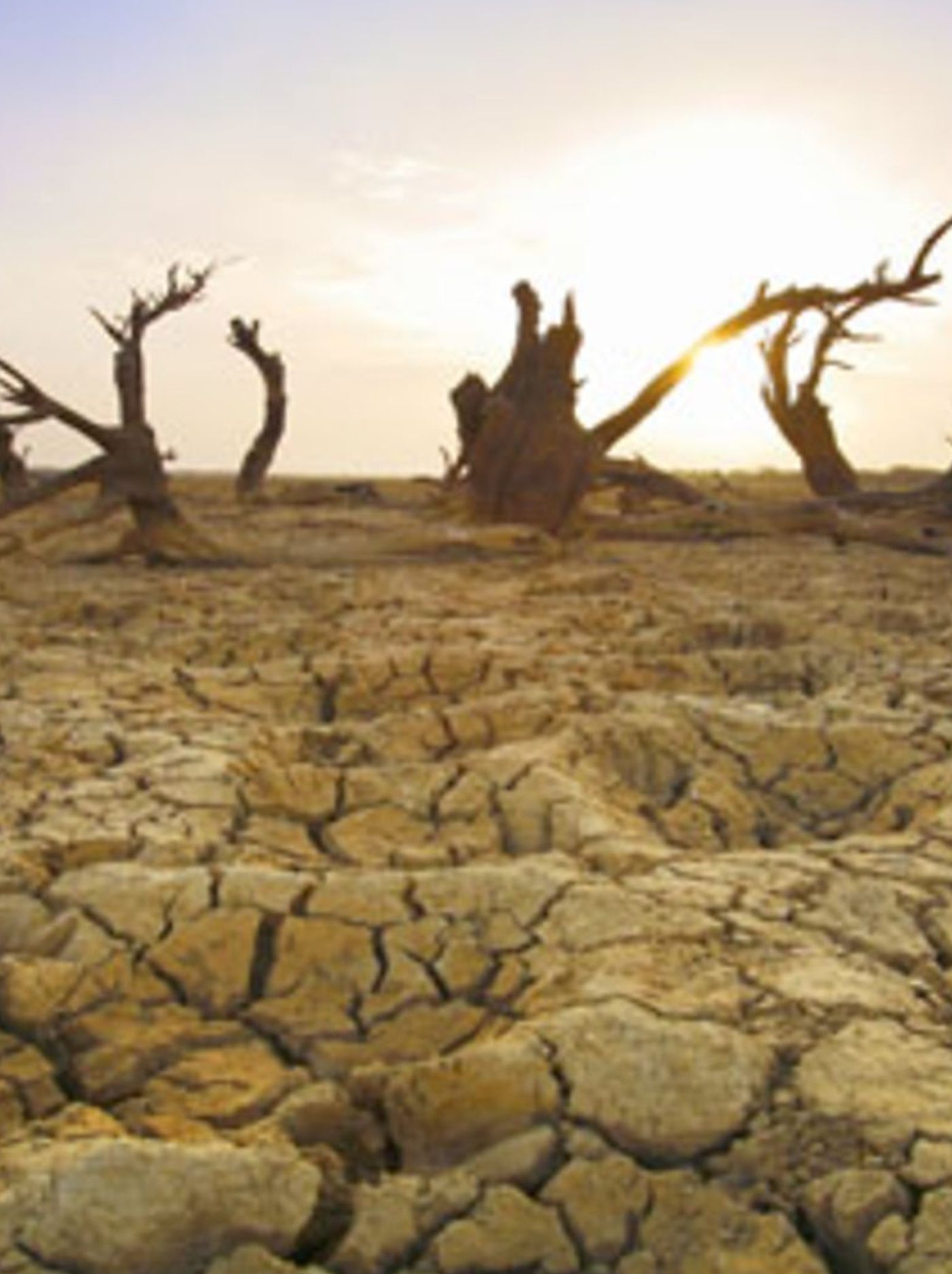 Human Planet 2 Of 8 - Deserts - Life In The Furnace