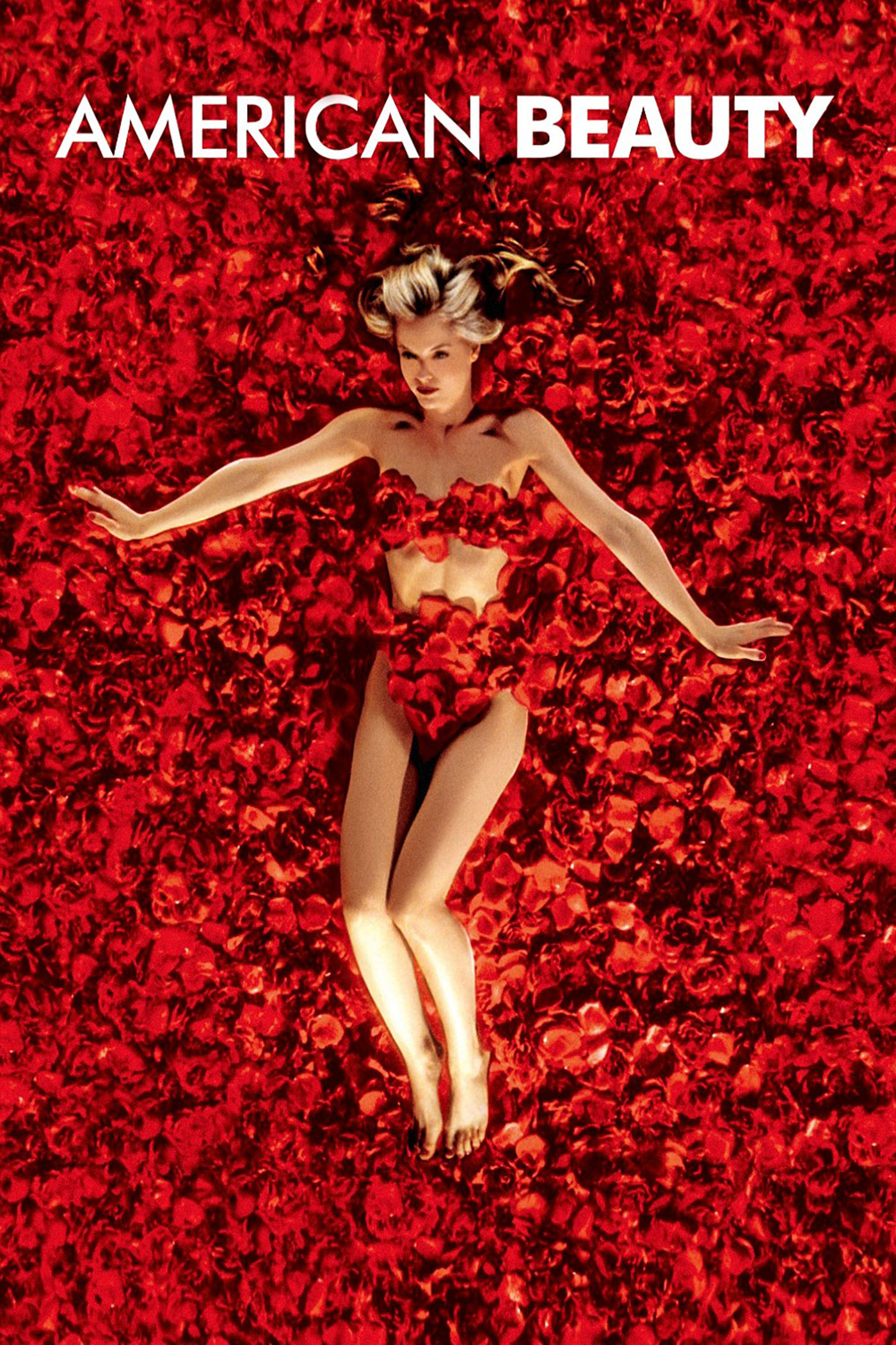 American Beauty episode artwork
