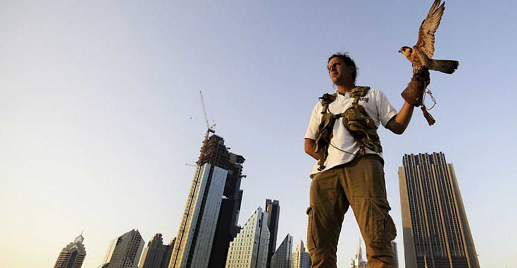 Human Planet 8 Of 8 - Cities - Surviving The Urban Jungle (2011)