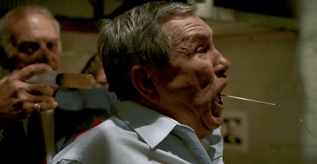 Housesitter The Night They Saved Siegfrieds Brain (2020)