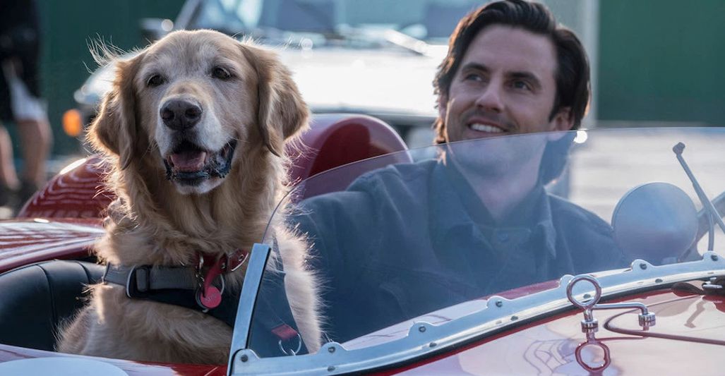 The Art Of Racing In The Rain (2019)