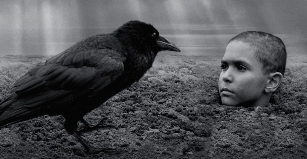 The Painted Bird (2019)