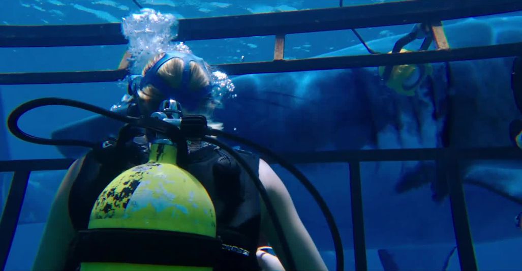 47 Meters Down (2017)