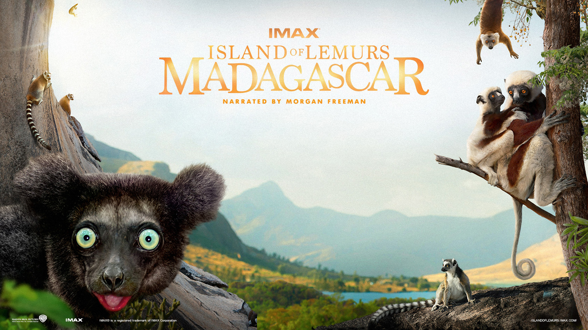 Island Of Lemurs Madagascar (2014)