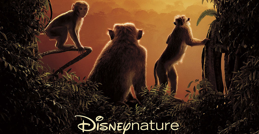 Monkey Kingdom (2015)