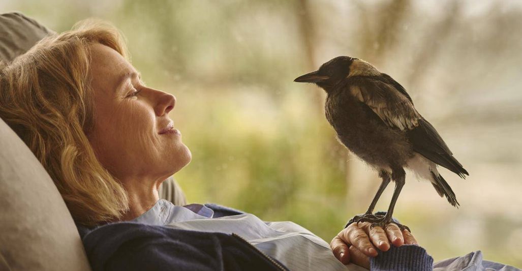 Penguin Bloom (2021)