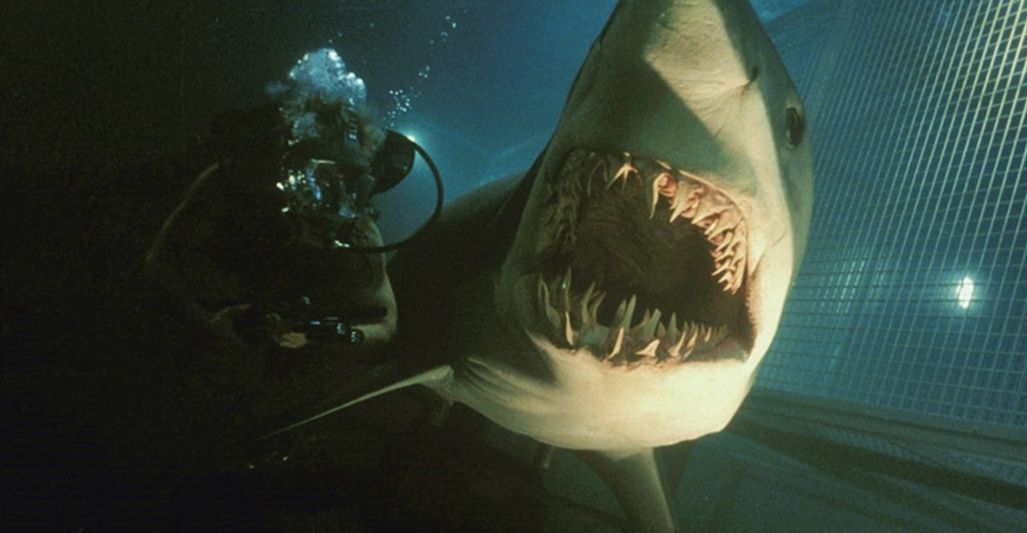 Deep Blue Sea 2 (2018)