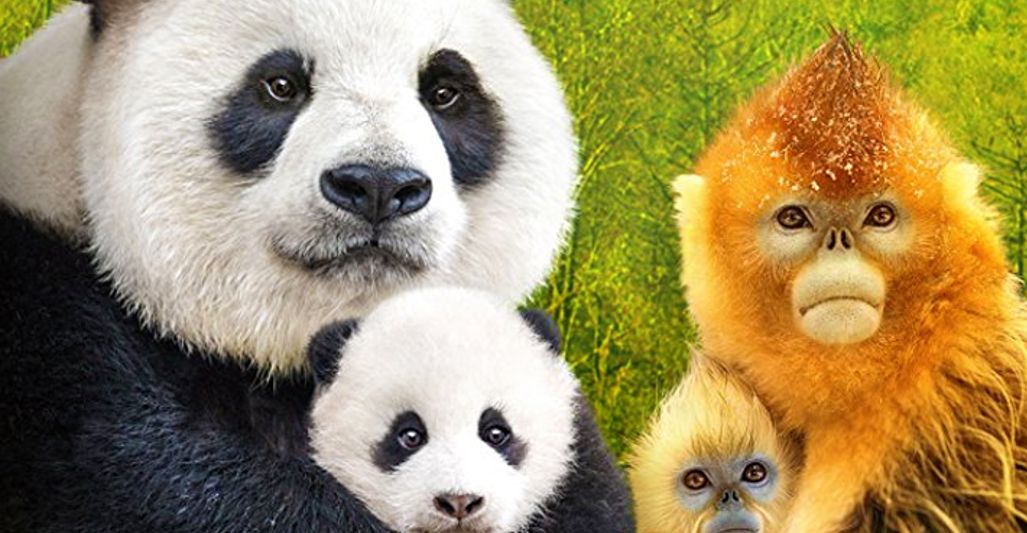 Expedition China (2017)