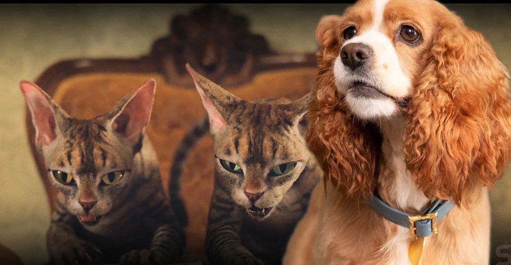 Lady and the Tramp (2019)