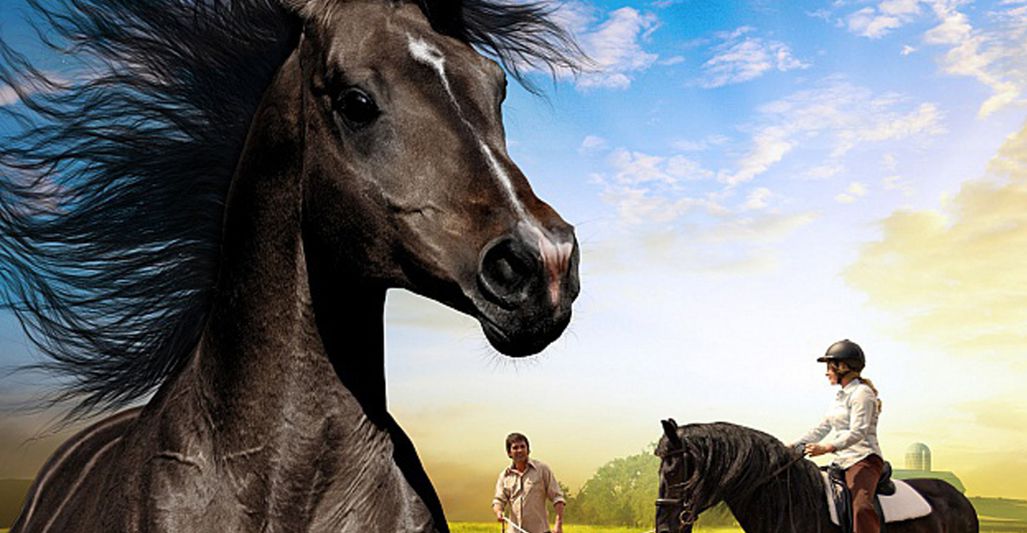 The Dark Horse (2008)